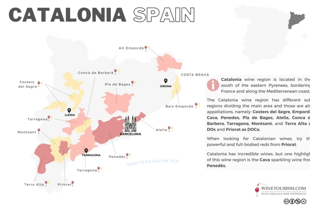 catalonia wine map infographics 香 檳 周 Champagne Chau