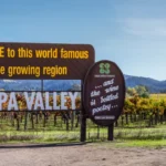 Napa Valley Cabernet Sauvigon Advanced Guide in 5 Mins